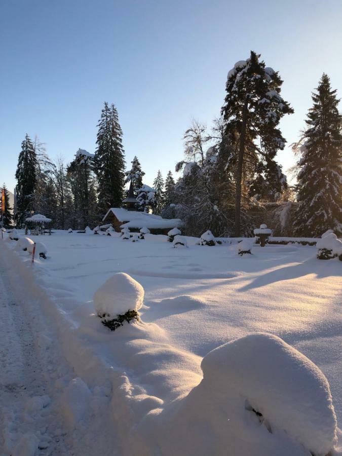 Chalet Belmont Flims Luaran gambar